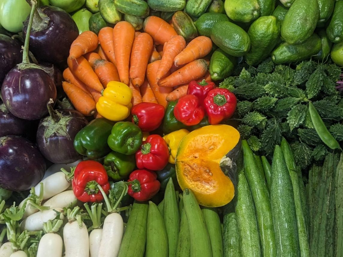 gezonde en evenwichtige voeding